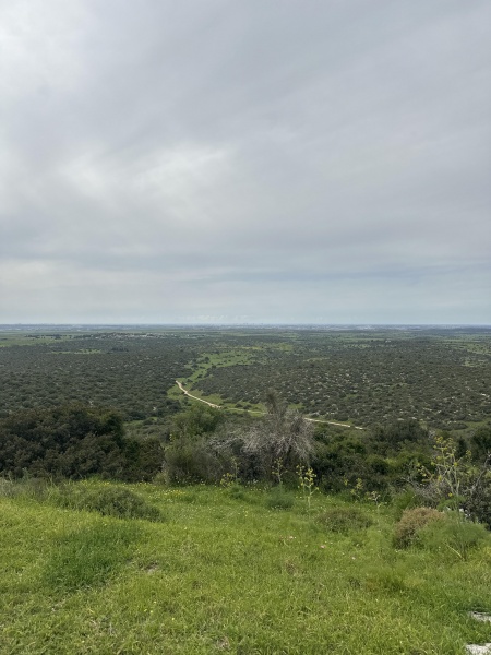 קובץ:2024-03-16T14 02 15.080318756962.jpg