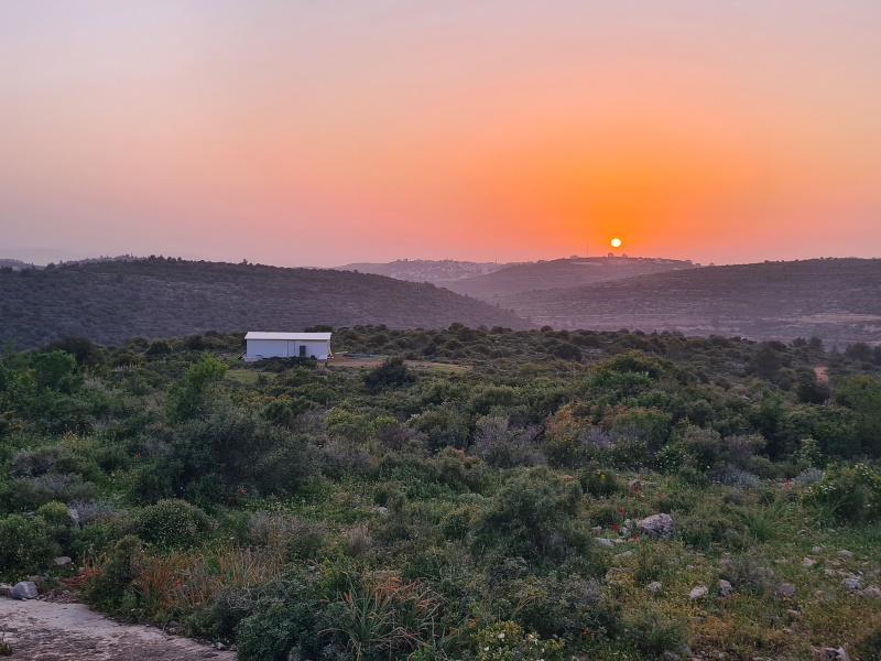 קובץ:2024-04-10T10 34 36.794804838376.jpg