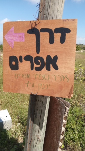 קובץ:2024-04-21T11 11 44.188019600390.jpg