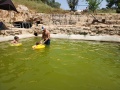 תמונה ממוזערת לגרסה מתאריך 10:26, 24 באפריל 2024