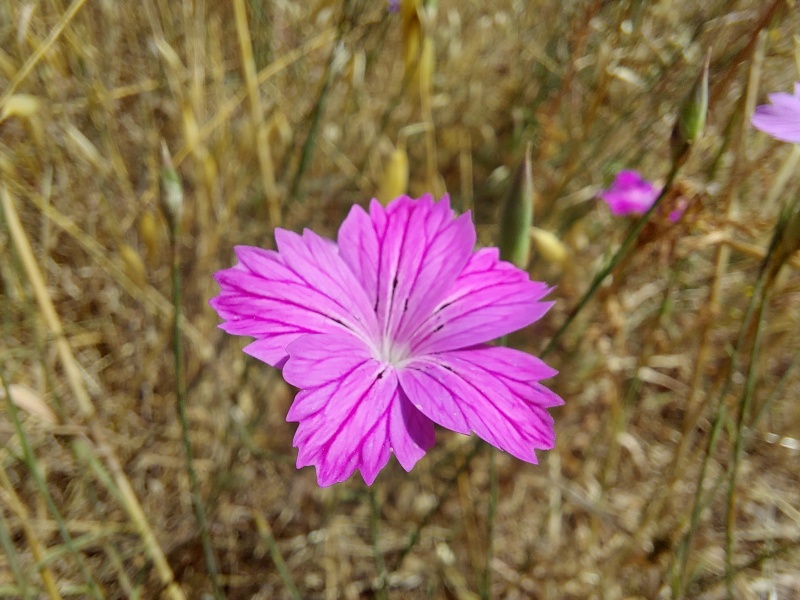 קובץ:2024-04-28T09 56 54.894869693487.jpg