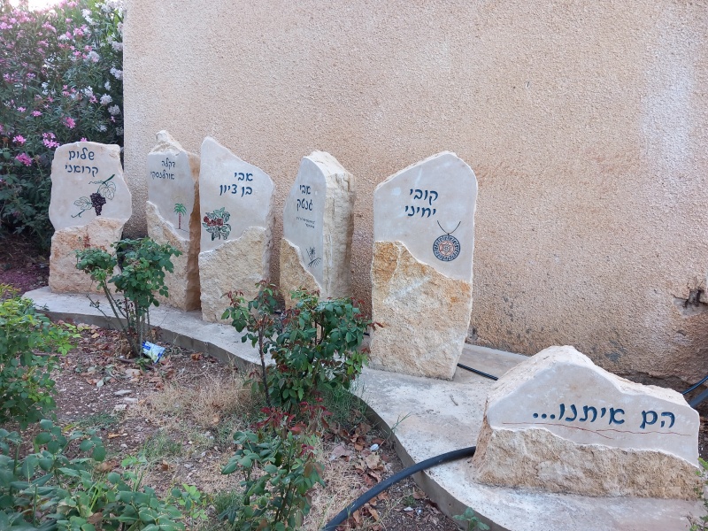 קובץ:2024-05-03T18 43 13.061868429823.jpg