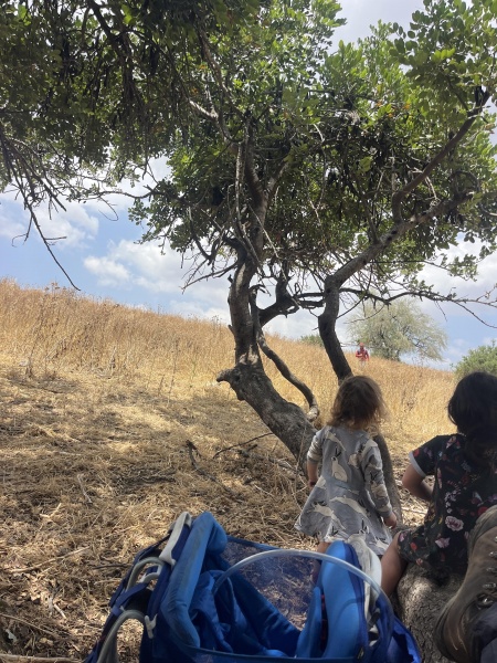 קובץ:2024-05-14T12 54 27.959117484558.jpg