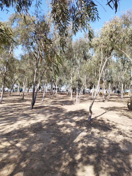 קובץ:2024-05-14T15 56 25.122940747980.jpg