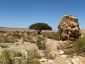 תמונה ממוזערת לגרסה מתאריך 08:17, 27 במאי 2024