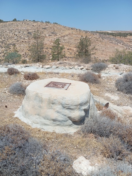 קובץ:2024-07-01T11 44 44.316071956457.jpg