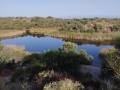 תמונה ממוזערת לגרסה מתאריך 04:42, 4 ביולי 2024