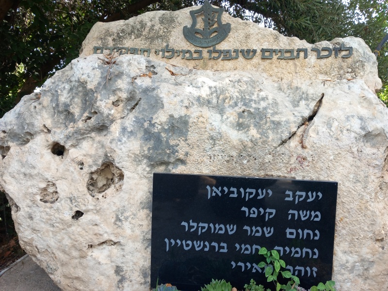 קובץ:2024-07-05T09 10 46.409500364746.jpg