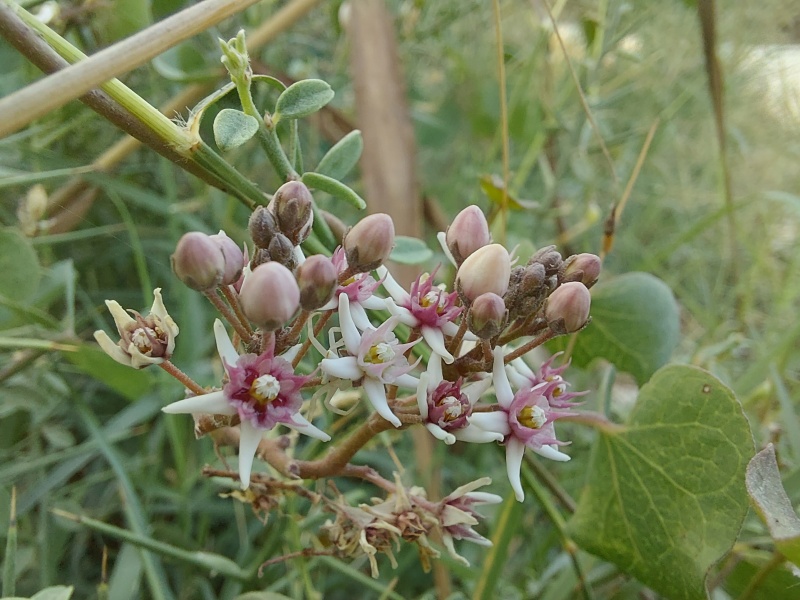 קובץ:2024-07-08T19 27 45.647698786709.jpg