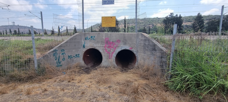 קובץ:2024-07-22T10 55 21.333510798318.jpg