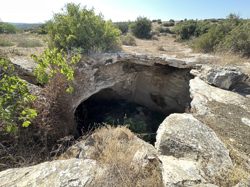 קובץ:2024-07-23T16 23 25.127299476126.jpg