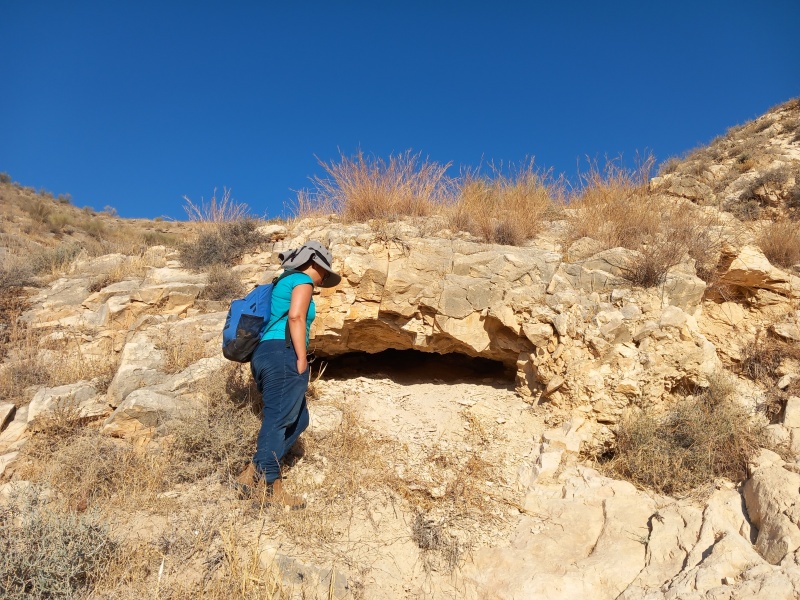 קובץ:2024-08-09T07 16 41.109246515481.jpg