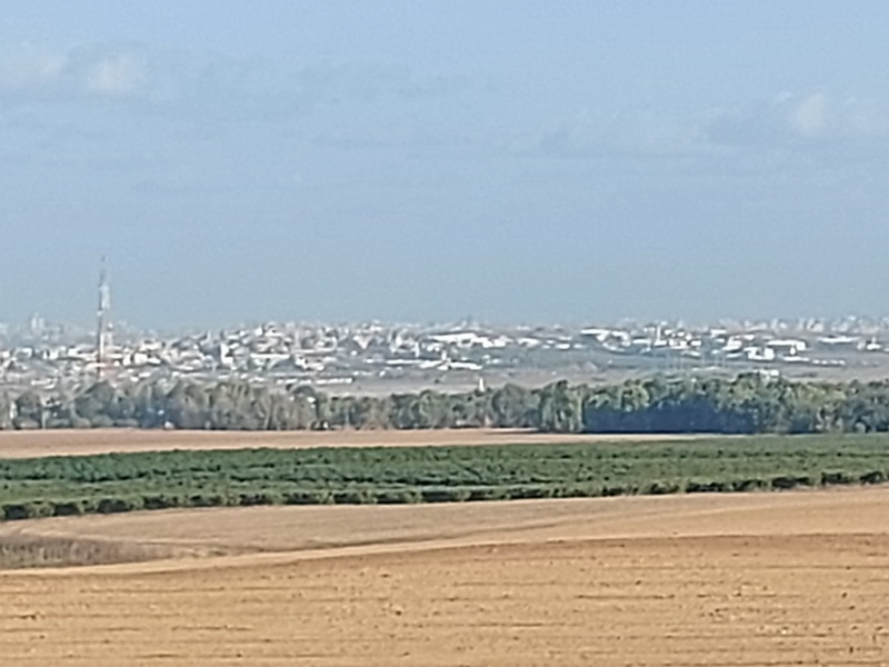 קובץ:2024-08-10T07 59 26.426856529996.jpg