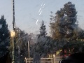 תמונה ממוזערת לגרסה מתאריך 06:55, 2 ביולי 2025