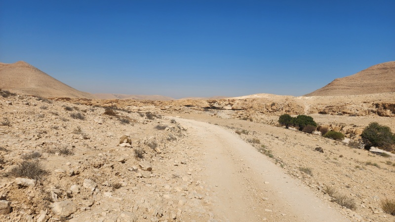 קובץ:2024-08-17T10 08 44.153309131150.jpg