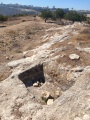 תמונה ממוזערת לגרסה מתאריך 06:55, 21 באוגוסט 2024