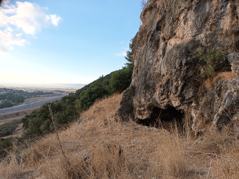 קובץ:2024-09-14T07 23 30.316151895556.jpg