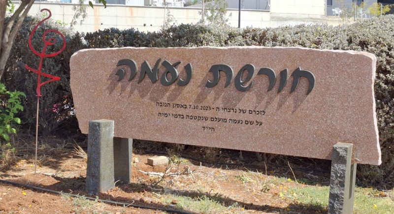 קובץ:2024-10-24T06 27 50.13591975320.jpg