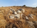 תמונה ממוזערת לגרסה מתאריך 19:42, 6 בנובמבר 2024