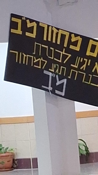 קובץ:2024-11-11T16 47 00.341096808069.jpg