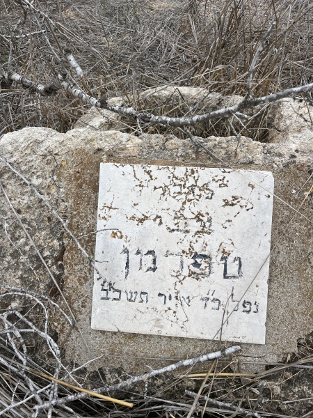 קובץ:2024-11-25T14 59 30.553983675458.jpg