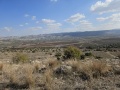 תמונה ממוזערת לגרסה מתאריך 10:34, 4 בדצמבר 2024