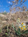 תמונה ממוזערת לגרסה מתאריך 11:06, 14 בדצמבר 2024