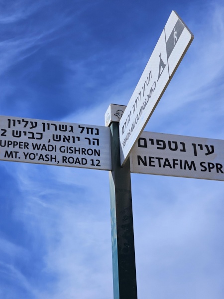 קובץ:2024-12-27T21 44 34.314164471793.jpg