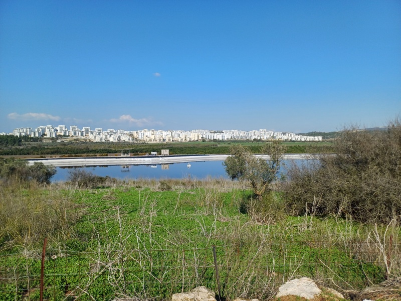 קובץ:2025-01-01T13 02 03.936173409763.jpg