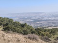 תמונה ממוזערת לגרסה מתאריך 08:51, 10 בינואר 2025