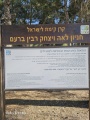 תמונה ממוזערת לגרסה מתאריך 10:17, 15 במרץ 2025