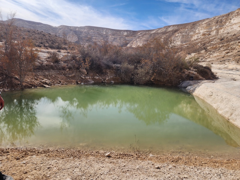 קובץ:2025-01-14T12 14 14.246658752155.jpg