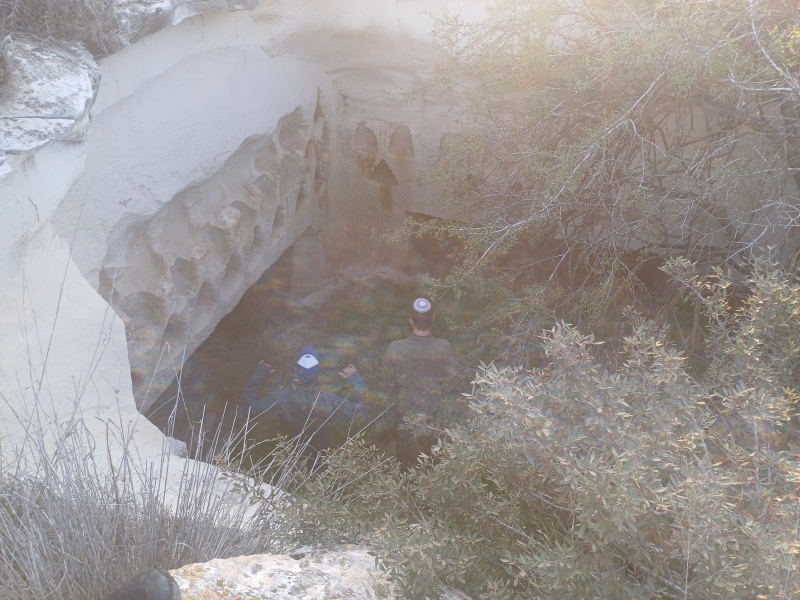 קובץ:2025-01-17T08 03 53.509983967809.jpg