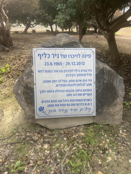 קובץ:2025-01-17T14 15 02.673359420829.jpg