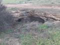 תמונה ממוזערת לגרסה מתאריך 06:29, 24 בינואר 2025