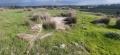 תמונה ממוזערת לגרסה מתאריך 11:12, 24 בינואר 2025