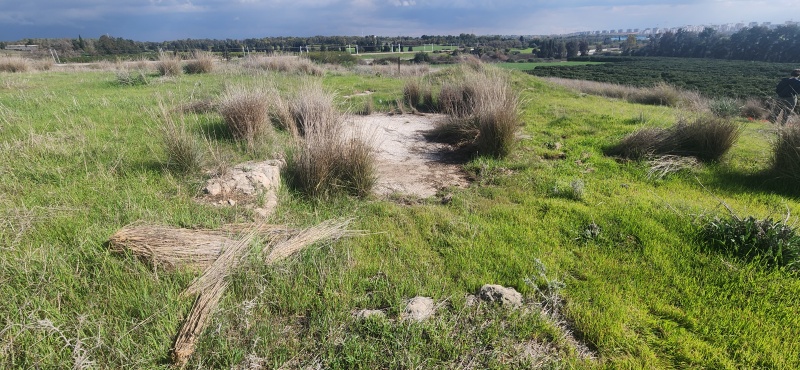 קובץ:2025-01-24T13 26 12.356564508478.jpg