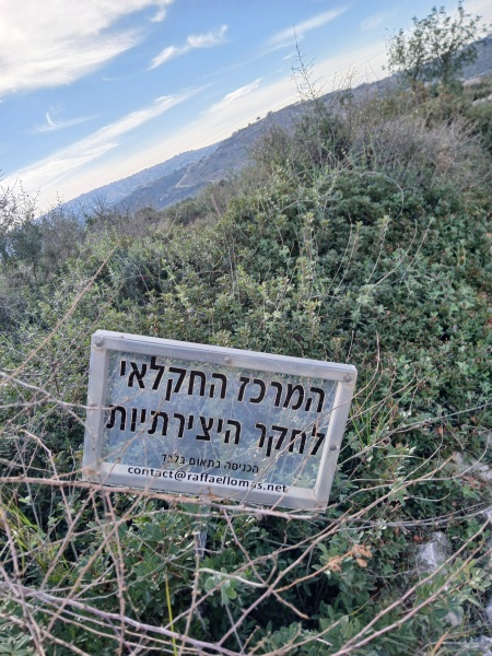 קובץ:2025-01-25T08 52 40.203925836507.jpg
