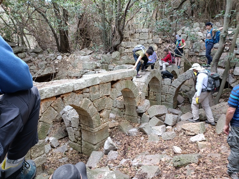 קובץ:2025-01-25T11 22 43.958207640182.jpg