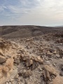 תמונה ממוזערת לגרסה מתאריך 07:40, 10 במרץ 2025