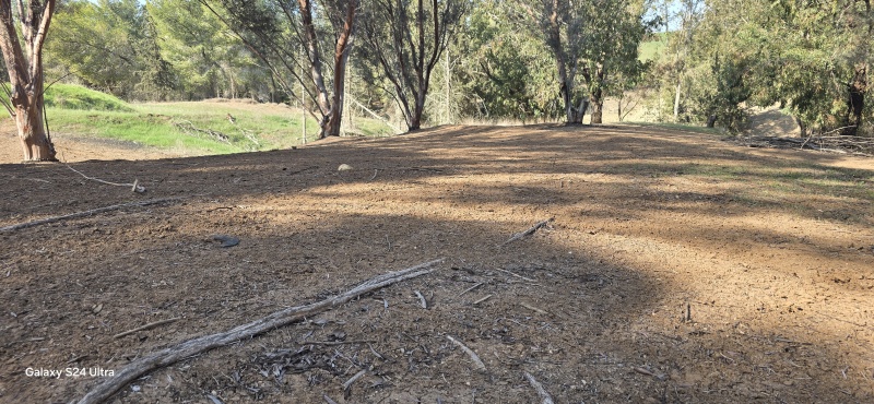 קובץ:2025-02-01T13 21 32.460888939197.jpg