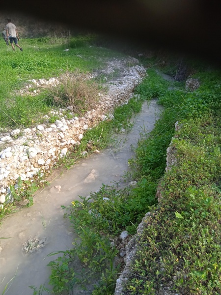 קובץ:2025-02-02T14 05 08.374930883382.jpg