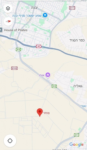 קובץ:2025-02-02T19 46 35.898506206233.jpg