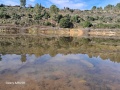 תמונה ממוזערת לגרסה מתאריך 09:29, 20 במרץ 2025