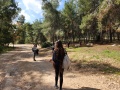 תמונה ממוזערת לגרסה מתאריך 07:51, 27 במרץ 2025
