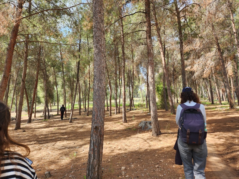 קובץ:2025-02-16T11 06 06.632107535008.jpg