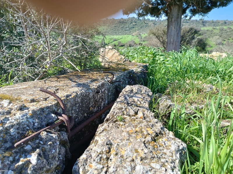 קובץ:2025-02-19T18 53 03.699158640645.jpg