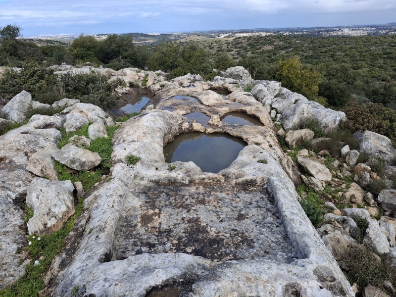 קובץ:2025-02-21T10 08 19.656836434849.jpg