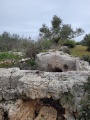 תמונה ממוזערת לגרסה מתאריך 13:21, 27 בפברואר 2025