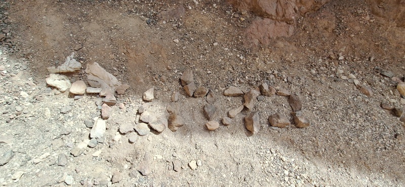 קובץ:2025-02-25T11 24 49.273688865532.jpg